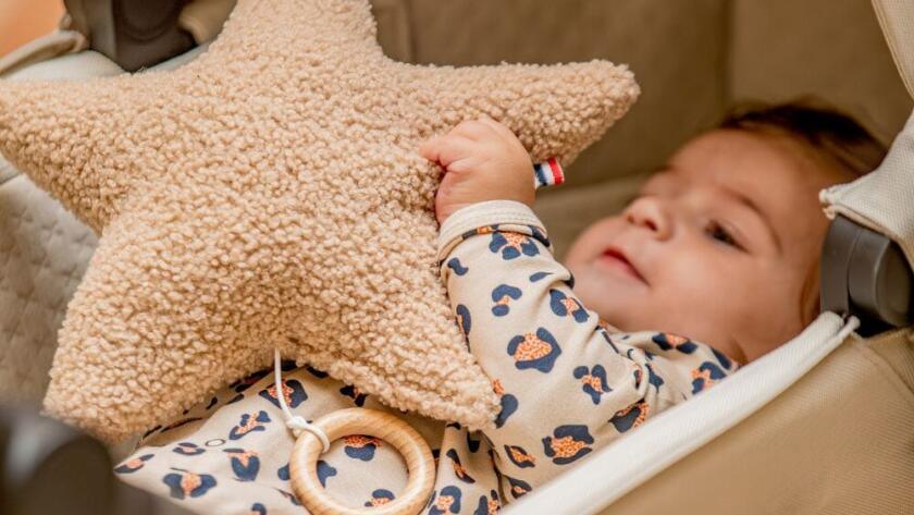 migdukas žvaigždutė ruda muzikinė