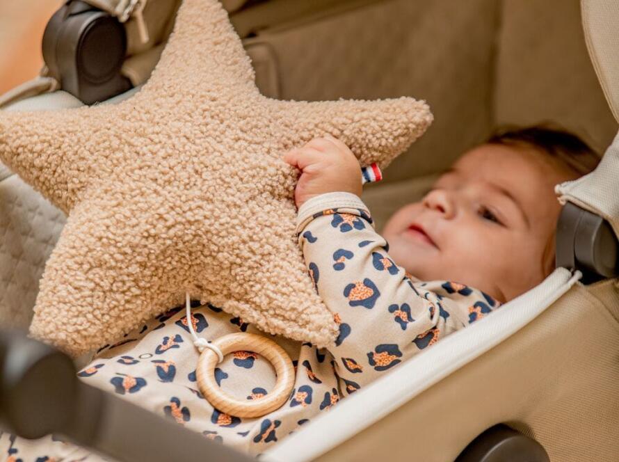 migdukas žvaigždutė ruda muzikinė